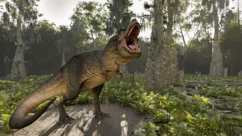 T-Rex – Bild: Windfall Films Ltd.