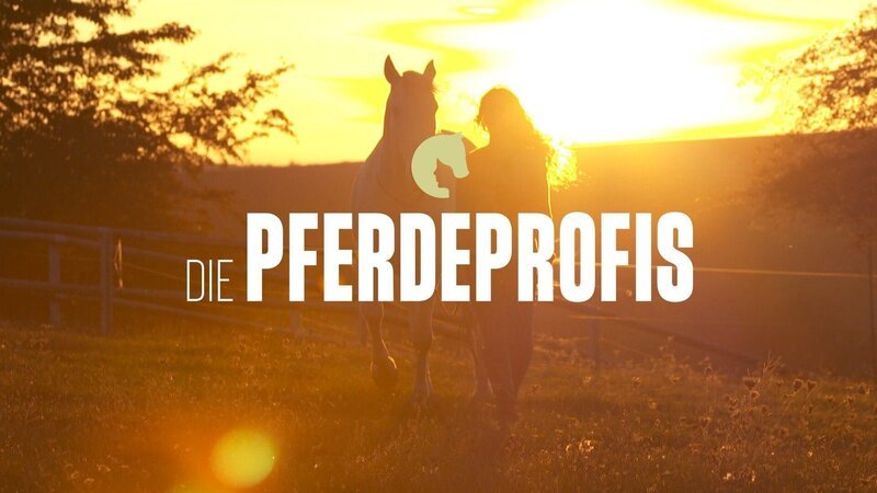 Das Logo zu „Die Pferdeprofis“. – Bild: RTL /​ Pferdeprofis, Die /​ XI