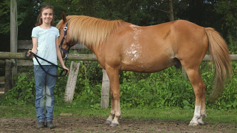 Joelina stellt ihr Pony Krümel vor. – Bild: NDR/​Studio Hamburg Produktion/​Sesame workshop