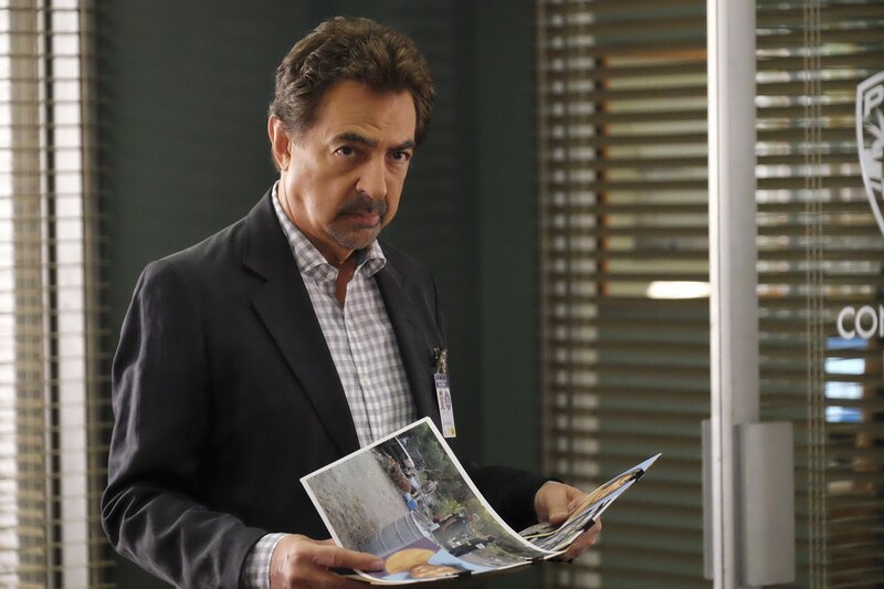 David Rossi. – Bild: CBS Broadcasting, Inc. /​ Darren Michaels
