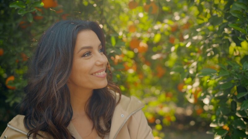 Eva Longoria spaziert durch den Orangengarten. – Bild: Cable News Network, Inc
