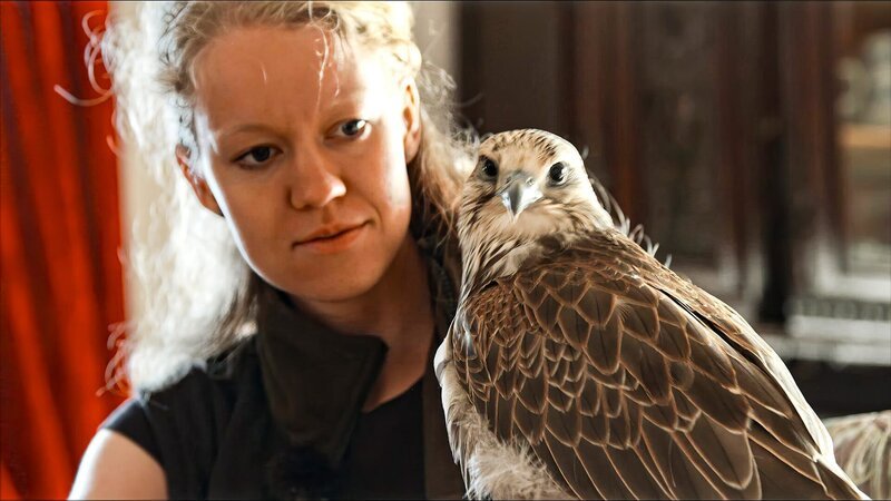 Ein majestätischer Falke sitzt ruhig auf einem behandschuhten Arm, seine scharfen Augen strahlen Stärke und Präzision aus. Die Umgebung vermittelt eine Atmosphäre von Tradition und Handwerkskunst, mit warmen Farbtönen und kunstvollen Holzdetails im Hintergrund. Dieses Bild ruft Assoziationen zu Falknerei, Wildnis und der tiefen Verbindung zwischen Mensch und Natur hervor. – Bild: Bergblick