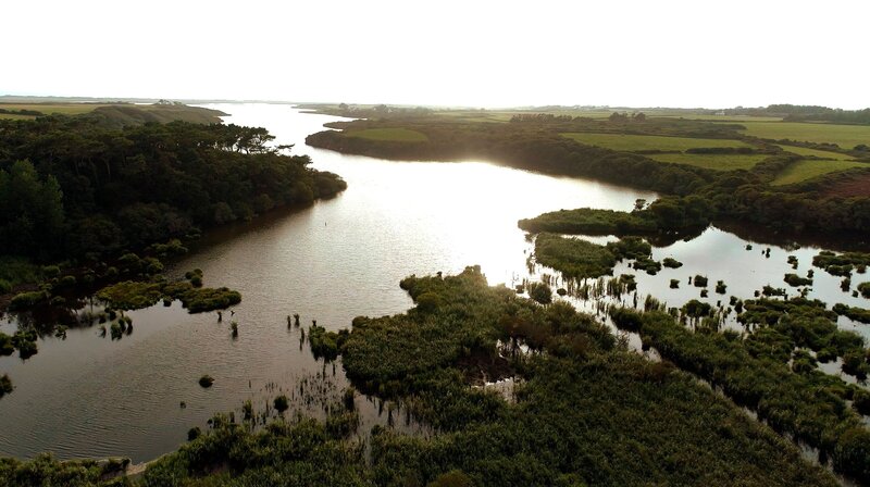 Bild: NDR/​miramedia/​Elke Bille