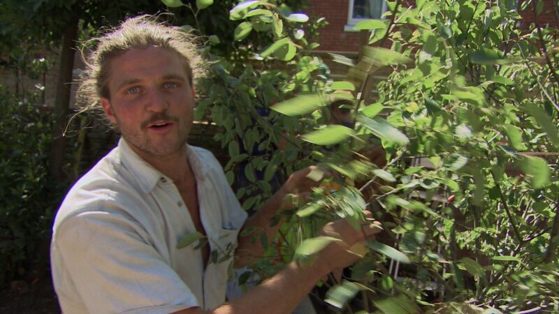 David Rich – Bild: RTL