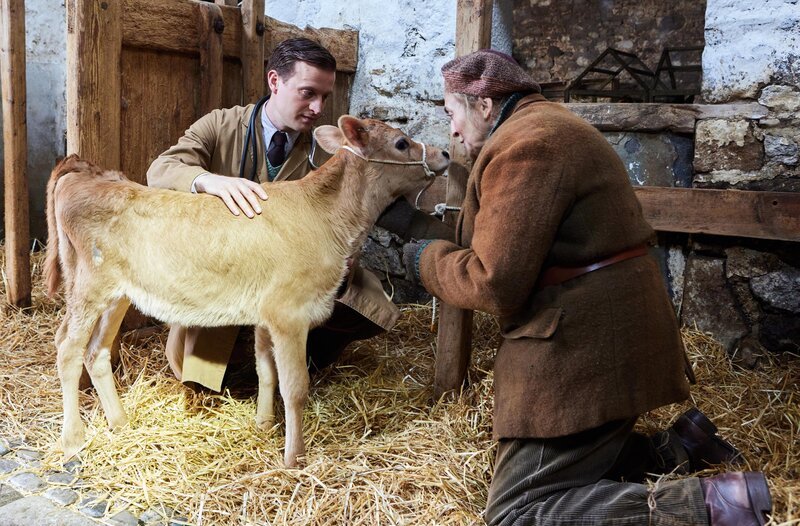 Tierarzt James Herriot (l., Nicholas Ralph) untersucht das kranke Kalb von Kate Billings (r., Lynda Rooke). – Bild: WDR/​Playground & All3Media International
