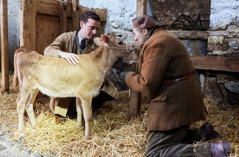 Tierarzt James Herriot (l., Nicholas Ralph) untersucht das kranke Kalb von Kate Billings (r., Lynda Rooke). – Bild: WDR/​Playground & All3Media International