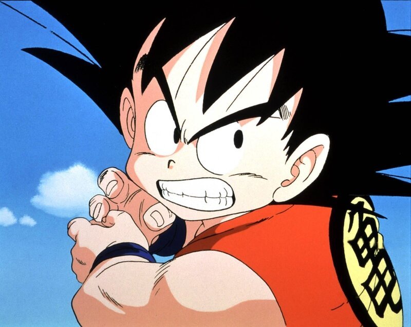 Son-Goku – Bild: PLURIMEDIA (AB)