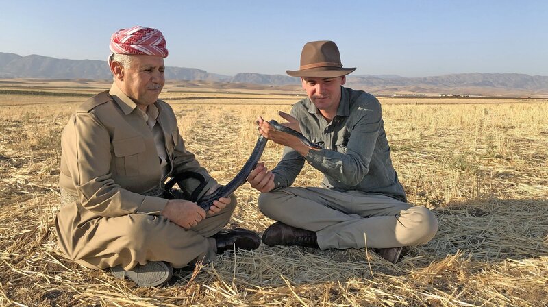 Für die Religionsgemeinschaft der Jesiden im Nordirak ist die Schlange ein heiliges Tier. – Bild: phoenix/​ZDF/​Katrin Sandmann