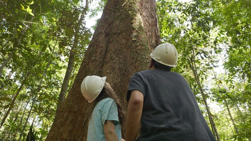 Expedition Amazonas – Bild: ZDF und Ralf Gemmecke