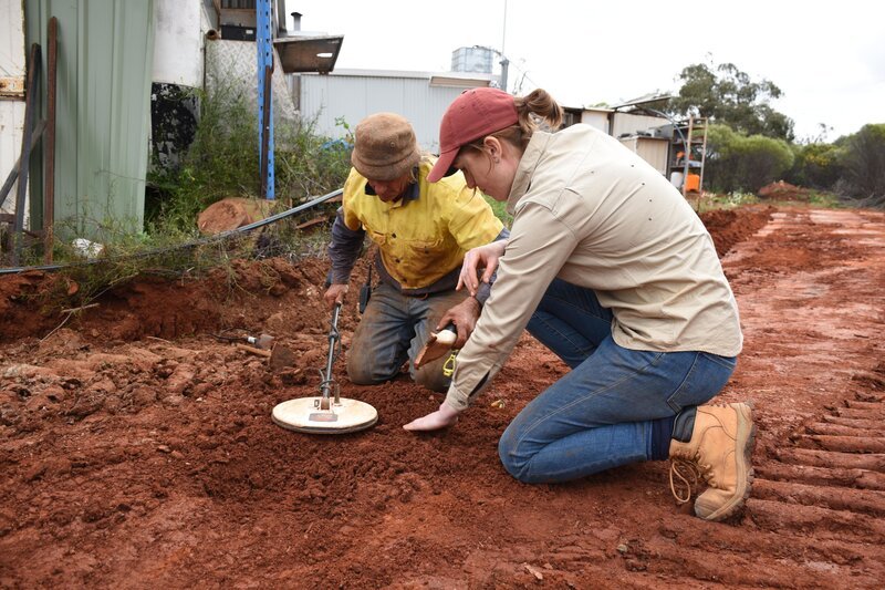 Bild: Electric Pictures Pty Ltd