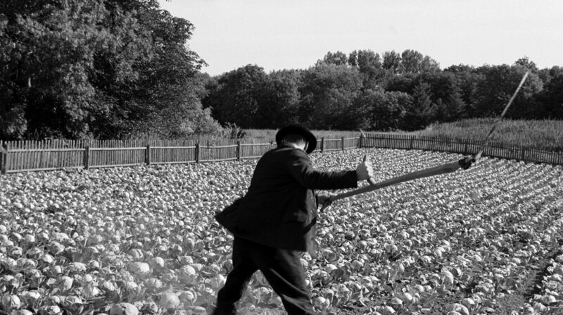 Das weiße Band – Bild: BR/​X-Verleih