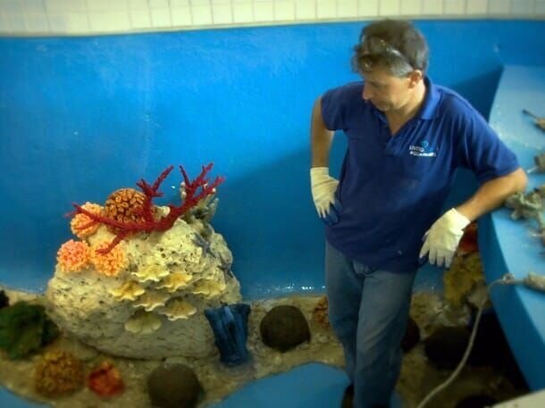 This job is going to require a thorough cleaning, additional corals and more fish if it’s ever going reclaim the beauty it once boasted. – Bild: National Geographic Channels