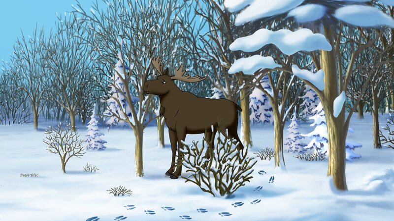 Tatsächlich ist ein Elch in ihrem Wald. Das gab es noch nie. – Bild: ZDF und Kiddinx