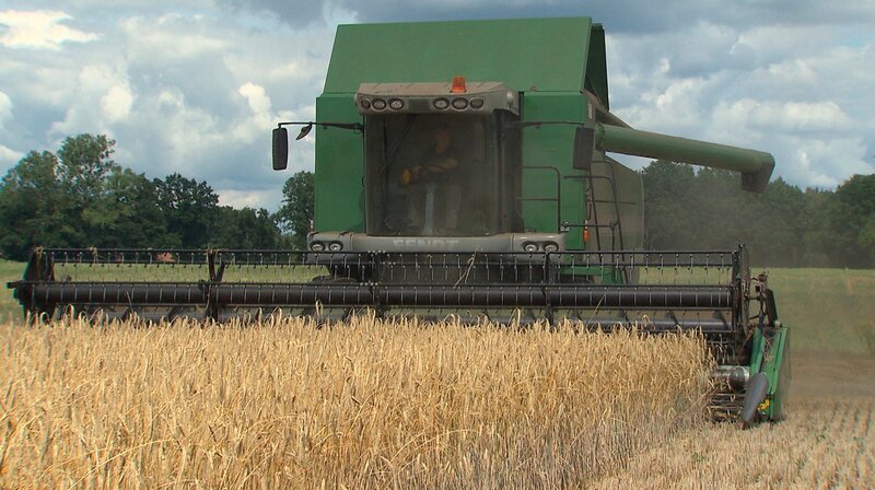 NDR Fernsehen DIE NORDSTORY – BROTZEIT IM NORDEN, „Von Bäckern mit Laib und Seele“. Schon auf dem Feld bei der Ernte des Getreides entscheidet sich wie gut das Brot wird. – Bild: NDR/​AZ Media TV GmbH/​Franziska Voigt