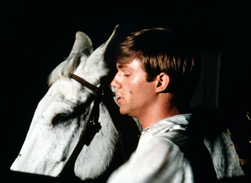 Mit seinem Maultier „Blue“ nimmt John-Boy (Richard Thomas) an dem traditionellen Querfeldeinrennen teil. – Bild: Sat.1 Gold