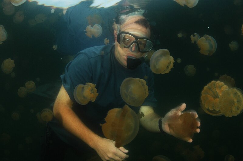 Riaan with jellyfish. – Bild: PLURIMEDIA (Parthenon /​ Aquavision)