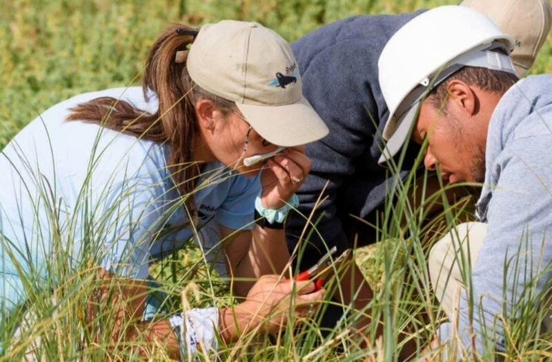 Chanel Visser mit ihrem Team im Einsatz. – Bild: phoenix/​ZDF