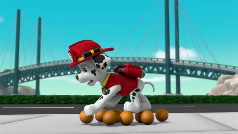 Marshall – Bild: ANNÉE Spin Master PAW Productions Inc. All Rights Reserved. Paw Patrol and all related titles, logos and characters are trademarks of Spin Master Ltd. Nickelodeon and all related titles and logos are trademarks of Viacom International Inc.