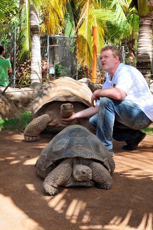 Galapagoas-Schildkröte Tomasa wird zu ihrem Männchen zurückgebracht. Hier mit Tierarzt Dr. Heiner Müller. – Bild: WDR/​Niklas Böhm