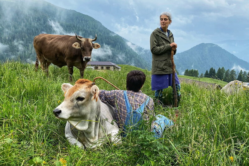 Das Trentino - Naturparadies in Norditalien – Bild: SRF1