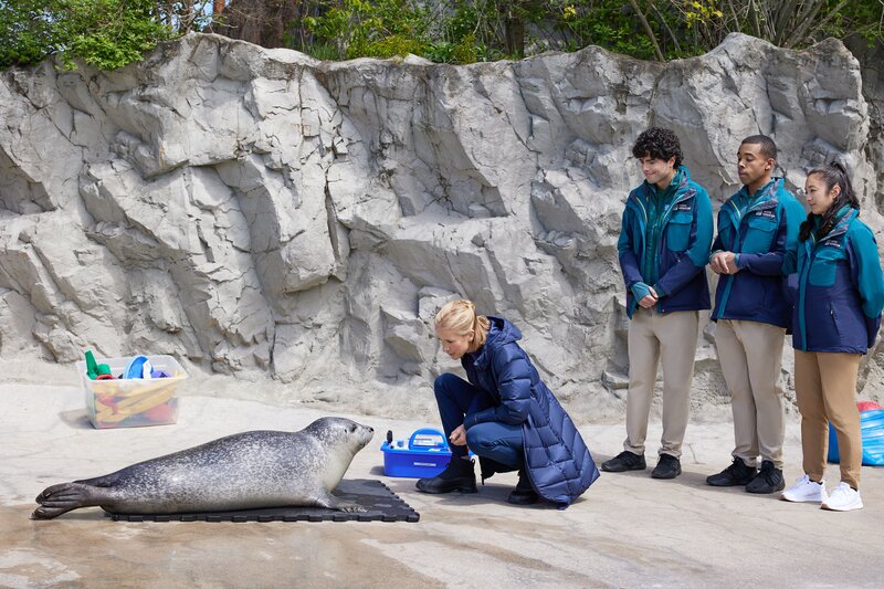 Seaside Christmas – Bild: RTL /​ Hallmark Media