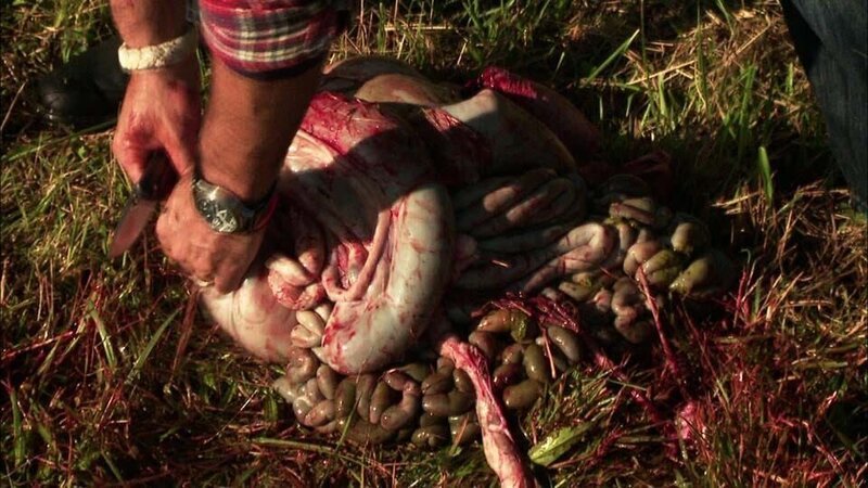 Andrew cuts off the entrails of the white-tailed deer – Bild: Discovery Channel