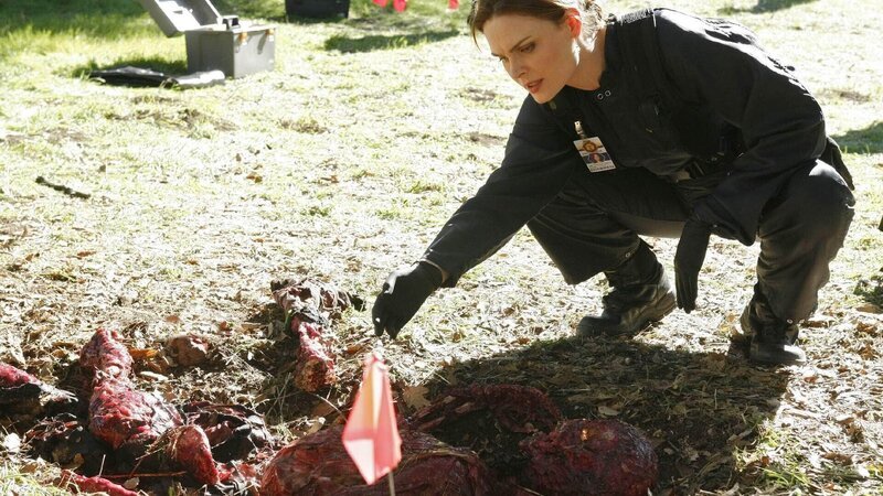 Brennan (Emily Deschanel) untersucht im Tigergehege eines Safarizoos eine halb aufgefressene Leiche. Sie weiß sofort, dass das kein Unfall gewesen sein kann. – Bild: TVNOW /​ FOX