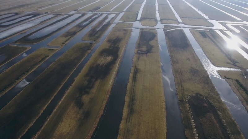 Eingedeichte Landgebiete bilden die typische Polderlandschaft, wie hier in den Niederlanden. – Bild: ZDF und 2P2L