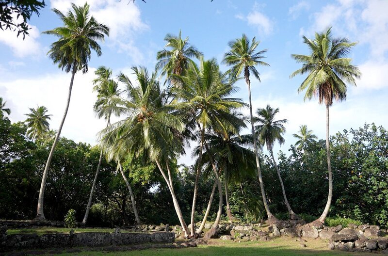 1888 erreichte Robert Louis Stevenson auf dem Schoner „Casco“ die Marquesas, eine verlorene Inselgruppe im Pazifik. 1896 erschien sein Reisebericht „In der Südsee“, der eine dem Niedergang geweihte Welt beschreibt. – Bild: Elephant Doc