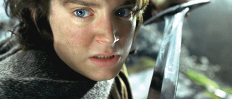 Frodo (Elijah Wood) hat sich mit seinem Freund Sam in den Wäldern von Emyn Muil verlaufen, wo sie von dem ehemaligen Ringträger Gollum verfolgt werden … – Bild: TVN/​ Warner Bros Poland /​ New Line Productions