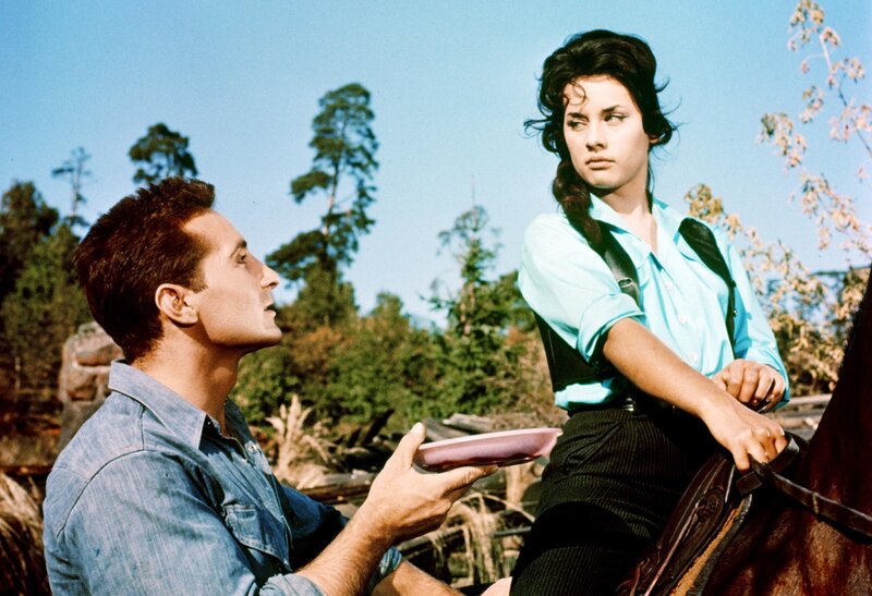 Freddy unter fremden Sternen – Bild: ORF (FS1/​FS2)