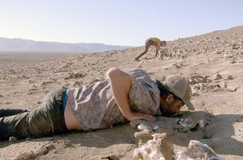 Sturmschwalben verströmen einen starken Geruch. Ivo Tejeda riecht daher an einem Nest, um festzustellen, ob es bewohnt ist. – Bild: Zorn Production International