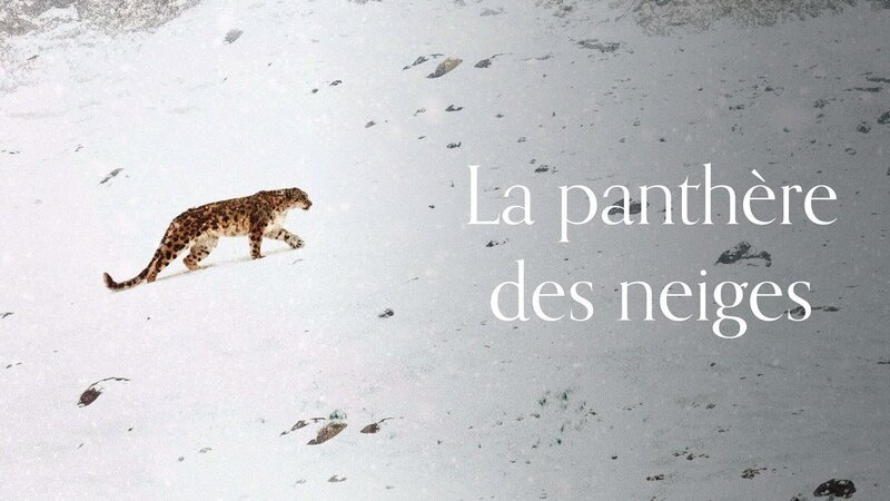 – Bild: Arte – Bild: Arte