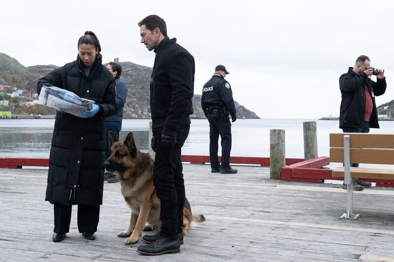 L-R: Sarah Troung (Mayko Nguyen), Rex (Diesel vom Burgimwald) und Mark (Luke Roberts) – Bild: Vaida Nairn