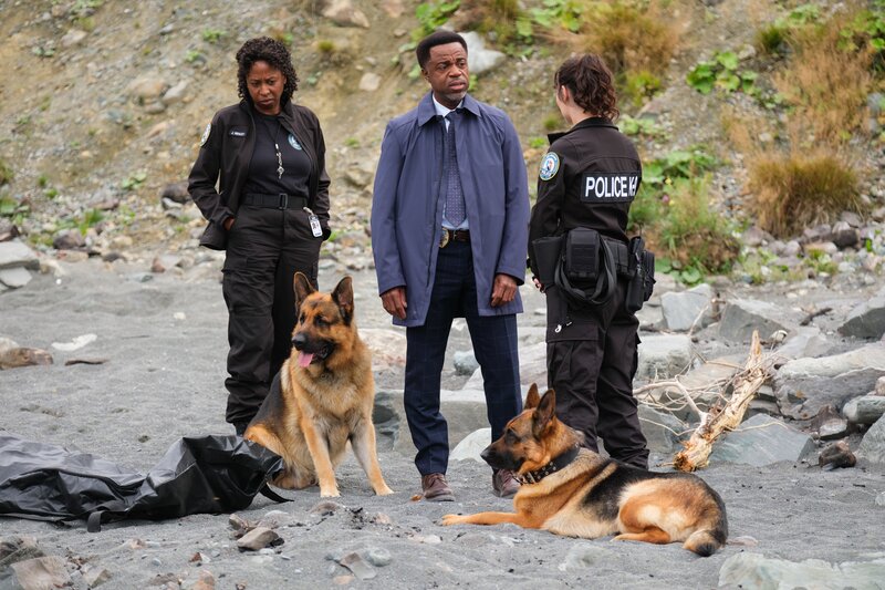 Sup. Joseph Donovan (Kevin Hanchard, m.) – Bild: Derm Carberry