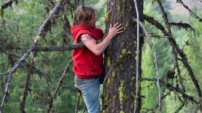 Bear Brown climbs a tree to track from on high. – Bild: Discovery Channel /​ Discovery Communications, LLC