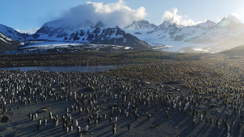 Natur - Die Geschichte unseres Planeten – Bild: ZDF und Untitled Film Properties