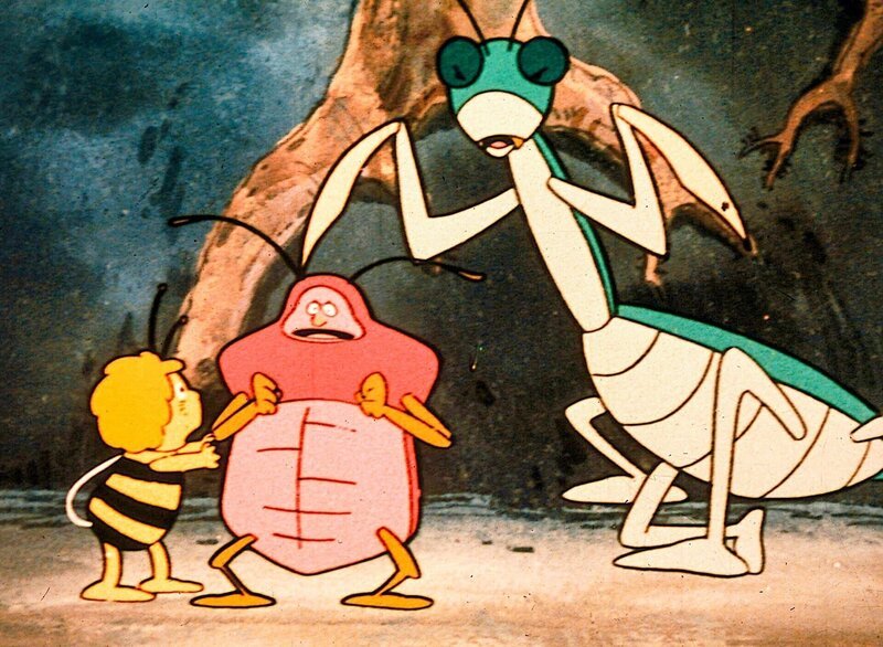 Nicht nur freundliche Käfer, auch die gefährliche Gottesanbeterin taucht in der Höhle auf. – Bild: ORF/​ZDF/​Apollo-Film