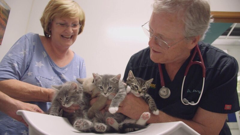 . – Bild: Warner Bros. Discovery