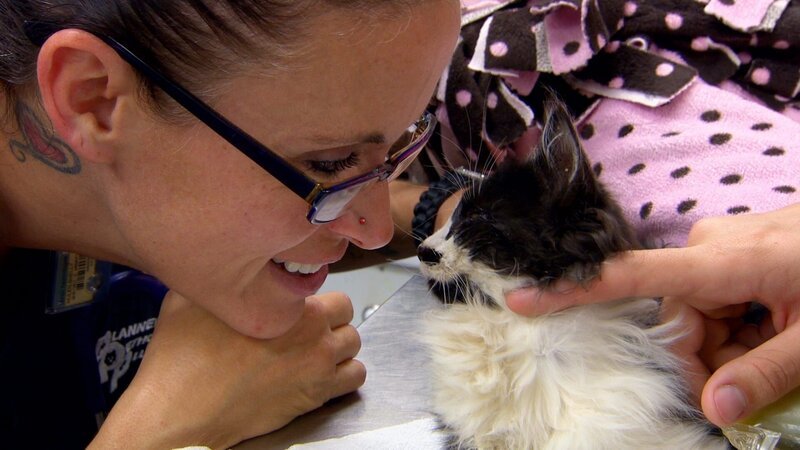 Shelly with Stanley the cat in the vet. – Bild: Discovery Communications