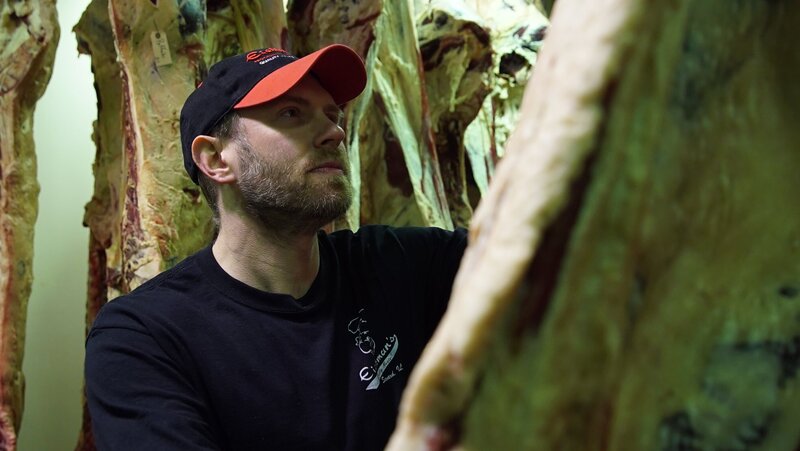 Bild: WAGTV Lizenzbild frei