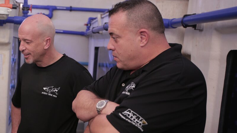 Natasha shows the guys the behind the scenes of The Lost Chamber exhibit in Atlantis. – Bild: Discovery Communications