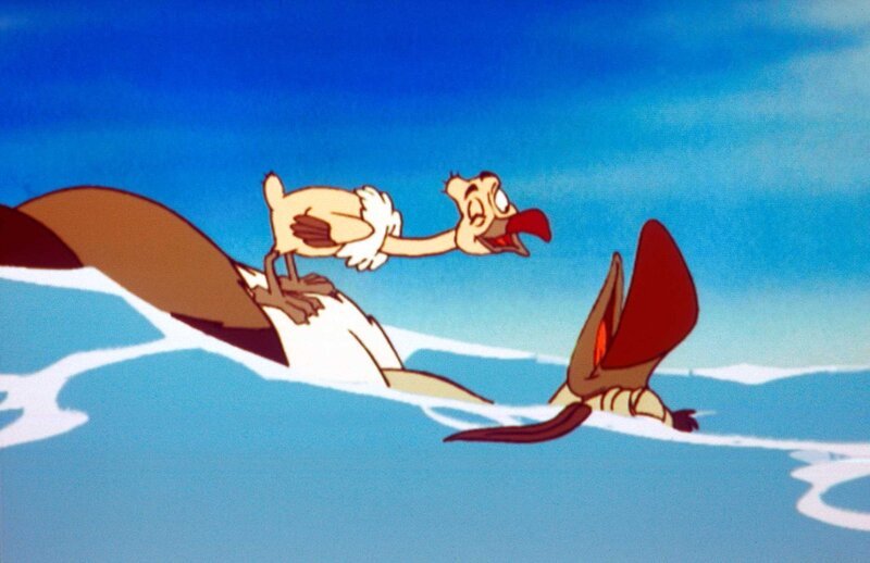 „Noahs Insel“, „Aye Aye Kapitansky.“ Eigentlich wollten Ursula, Chiang und Mammut Helmut auf Madagaskar nur einen Baum pflanzen. Als sie zurückkommen, sind sie in Begleitung eines geheimnisvollen Ureinwohners und gackern wie die Hühner. Der neue Gast ist ein Aye-Aye mit hypnotischen Fähigkeiten. Menschen haben seinen Lebensraum zerstört. Nun beansprucht er Noahs Insel für sich. Kapitän Noah hat einen schweren Stand gegenüber diesem exotischen Konkurrenten mit seinen magischen Kräften. Dabei hat der Eisbär schon genug Probleme am Hals: Ein Heuschreckenschwarm zieht über die Insel her und droht alles kahl zu fressen. Als das siegessichere Aye-Aye zu einem Wettstreit um die Herrschaft der Insel auffordert, nimmt Noah das Angebot an. Die Aufgabe scheint unlösbar für den Eisbären: Wer es zuerst schafft, vor Sonnenuntergang die Heuschrecken loszuwerden, soll der neue Kapitän werden. – Bild: ORF (FS1/​FS2) /​ ORF1