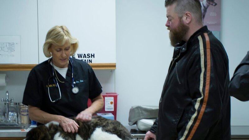 Dr. Dee examines Eric Gerke’s new puppy. – Bild: Discovery Communications