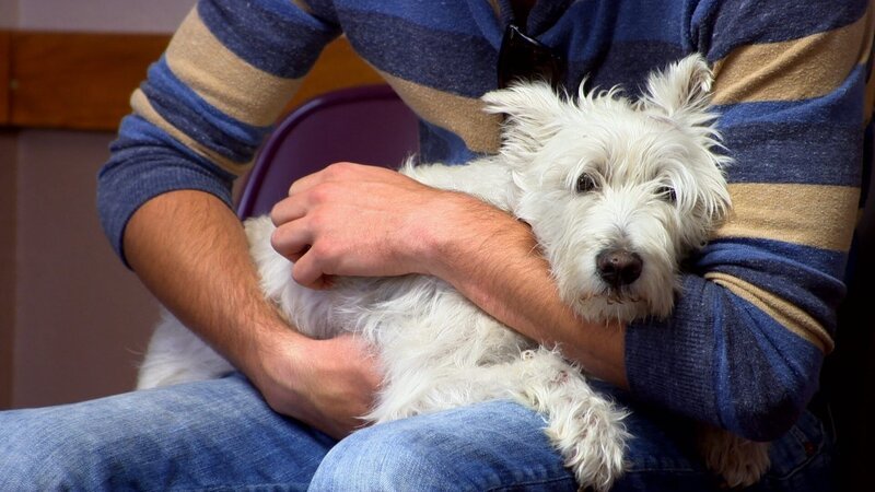 Champ’s owner holding it in the waiting room. – Bild: Discovery Communications