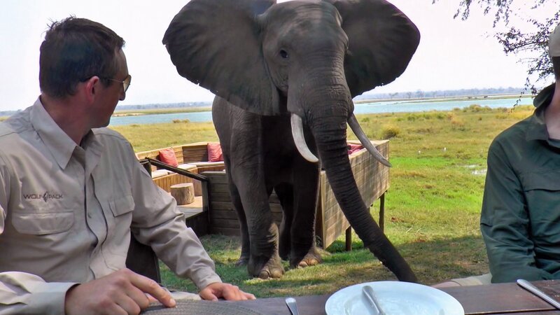 Bild: Comedy Central