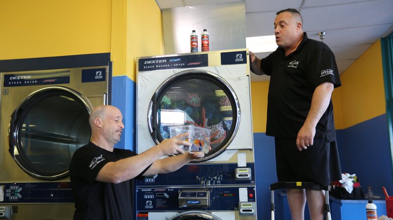 Fish in washer tank. – Bild: Animal Planet /​ Discovery Communications