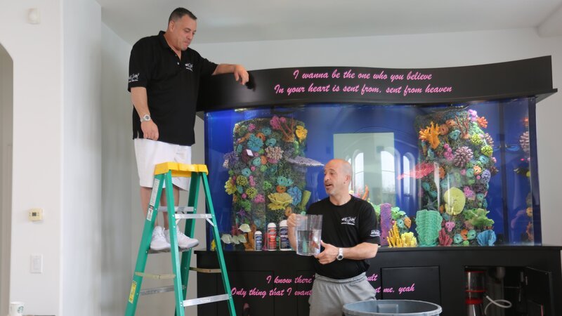 Wayde and Brett put fish in the tank. – Bild: Animal Planet /​ Discovery Communications