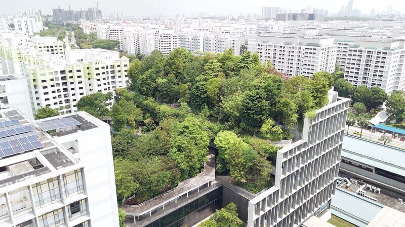 Bis 2030 plant Singapur, eine Million Bäume zu pflanzen. – Bild: ORF