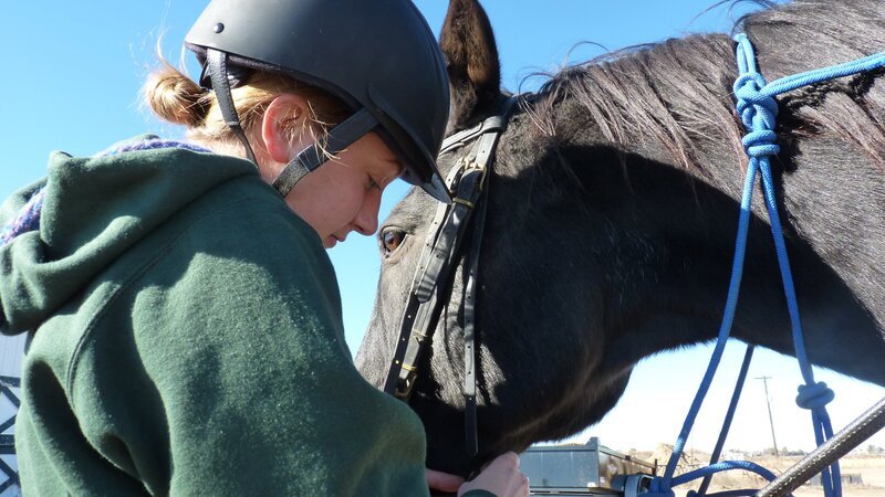 Staff performing treatments at the horse ranch. – Bild: Animal Planet /​ Discovery Communications